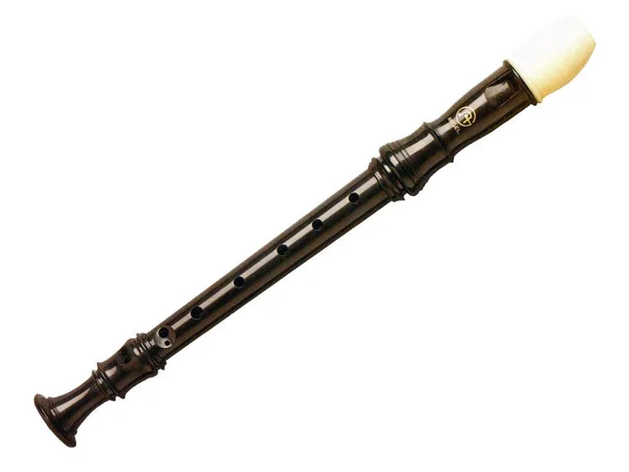 Angel Recorder Key Of Csupplied with Carry Bag
