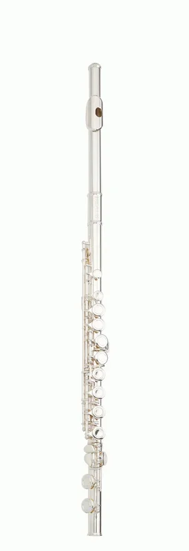 Beale FL200 Flute