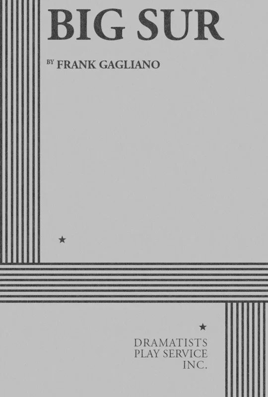 Big Sur Book