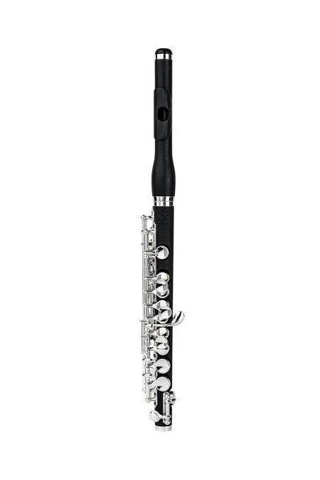 Di Zhao DZP201WHJ Grenadilla Wood Body Piccolo with Wave Head Joint