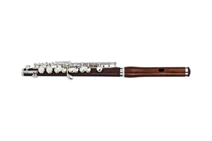 Di Zhao DZP301WHJ Rosewood Body Piccolo with Wave Head Joint