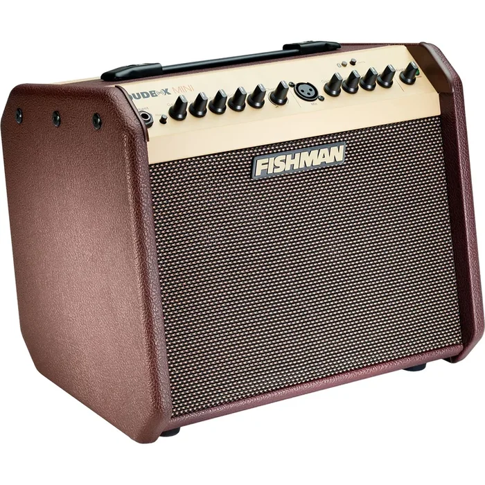 Fishman Loudbox Mini Bluetooth 60w Acoustic Amplifier – PROLBT500