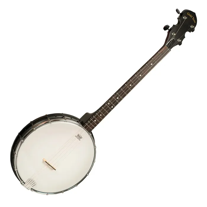 Gold Tone Acoustic 4 String Composite Open Back Tenor Banjo w/Gig Bag – AC4