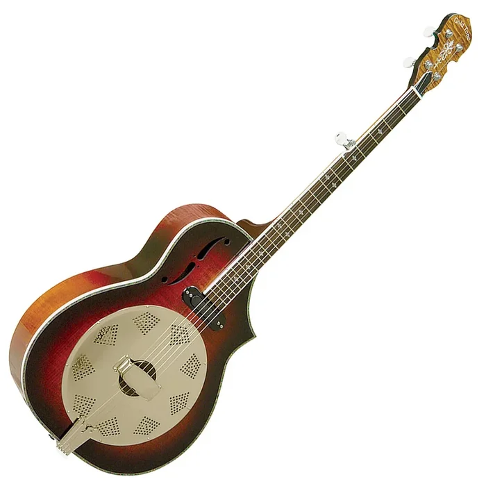 Gold Tone Deluxe Resonator Electric Banjo and Gig Bag – DOJOPLUS