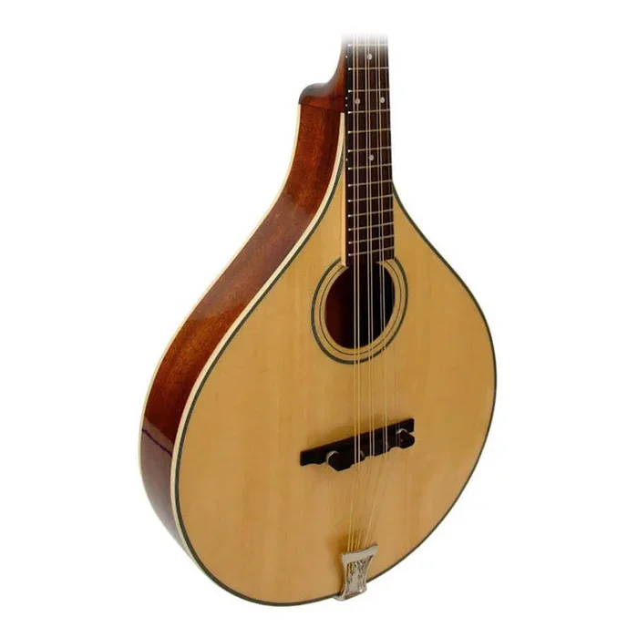Gold Tone OM-800+ Octave Mandolin (Mahogany)