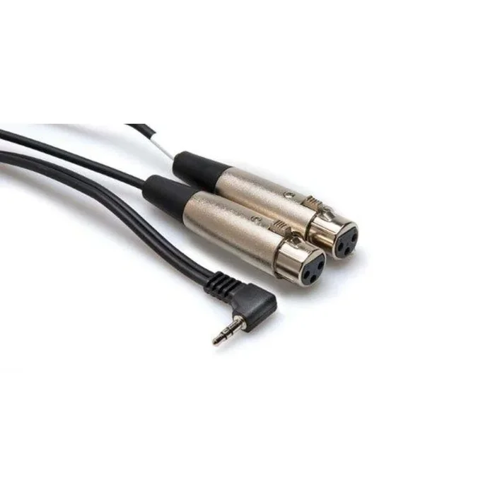 Hosa Stereo Breakout – 3.5 mm TRS to Dual XLR3F