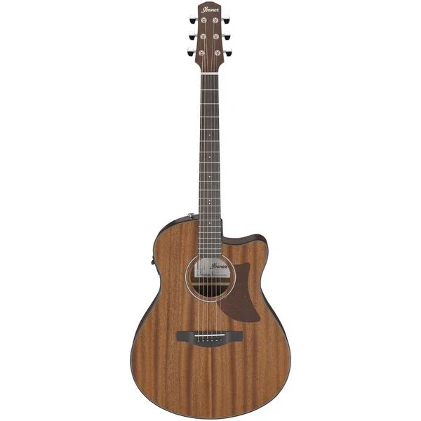 Ibanez AAM54CE-OPN