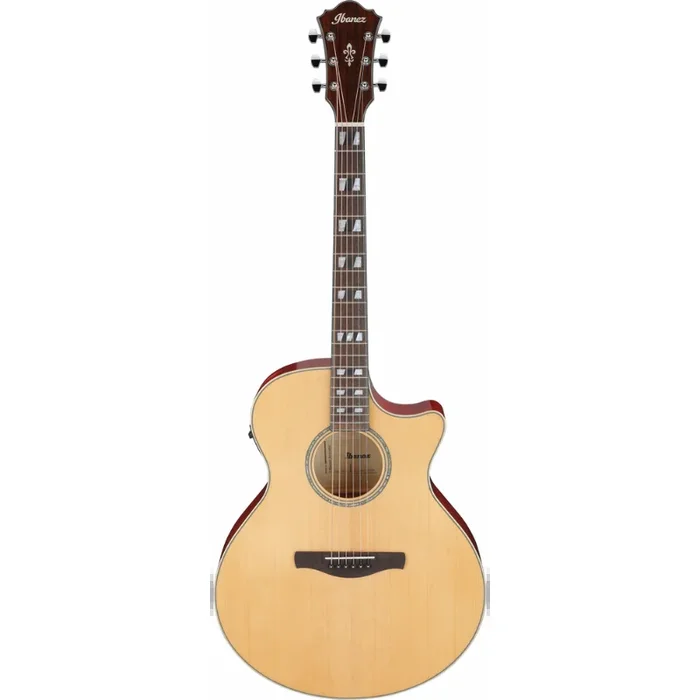 Ibanez AE170 NTR Acoustic-Electric Guitar