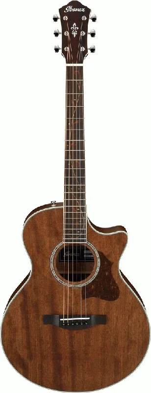 Ibanez AE245JR Junior Acoustic Electric Guitar (Open Pore Natural)