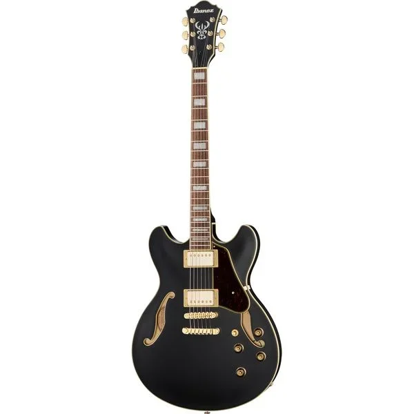Ibanez AS73 G BKF