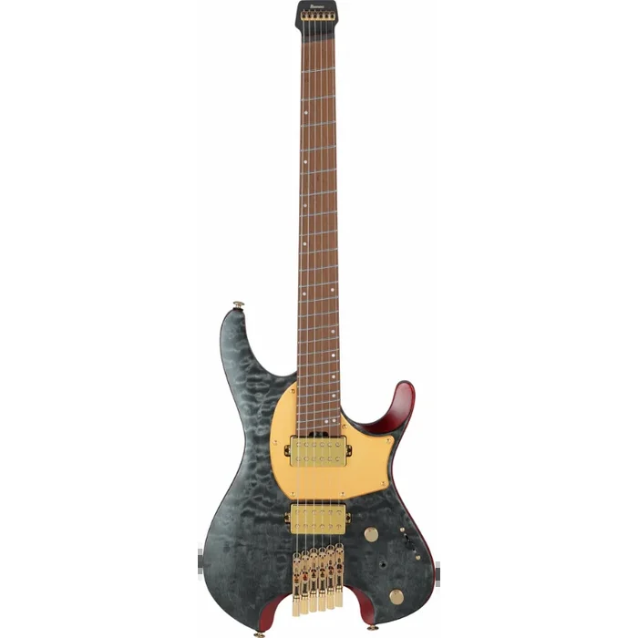 Ibanez MGFM10 OBL Manuel Gardner Signature Guitar