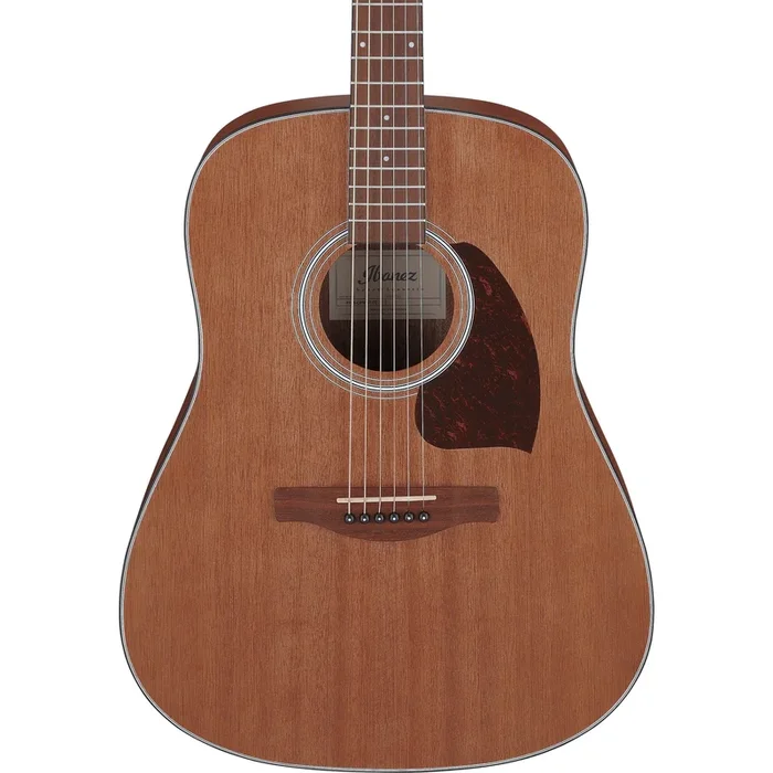 Ibanez PF54OPN Acoustic Guitar, Open Pore Natural