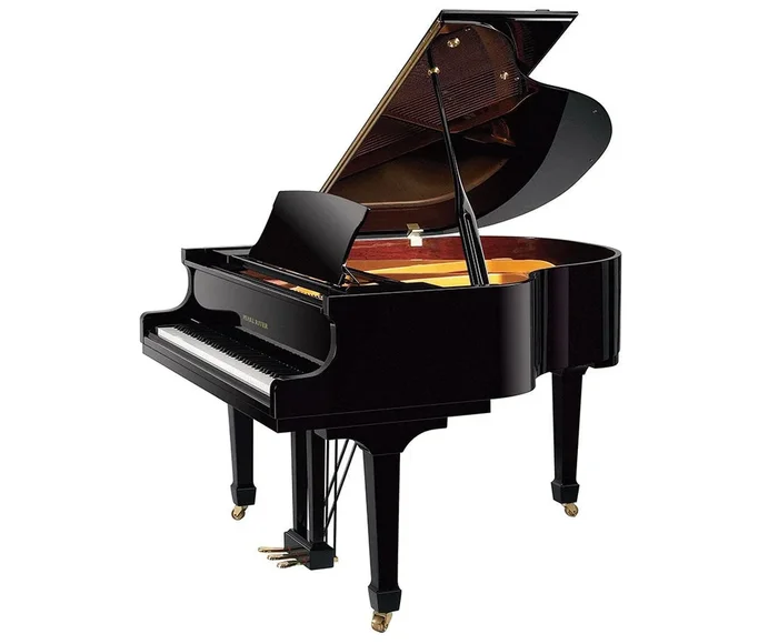 Pearl River 4’11 ” Baby Grand Piano (GP150)