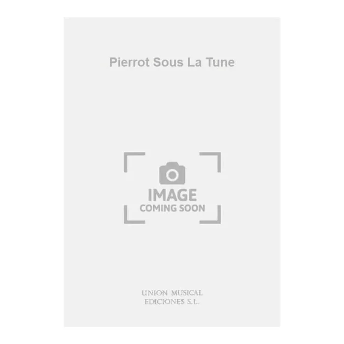 Pierrot Sous La Tune