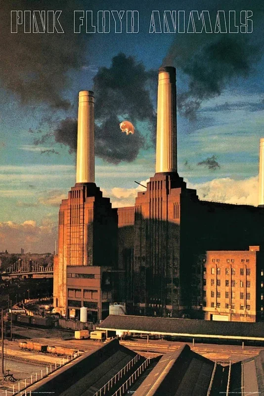 Pink Floyd – Animals Poster