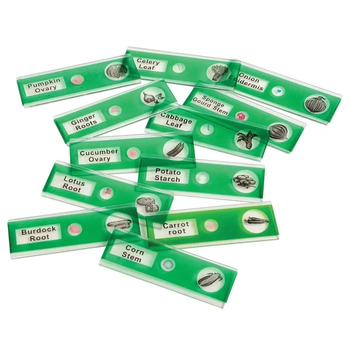 Prepared Slide Kit – Vegetables