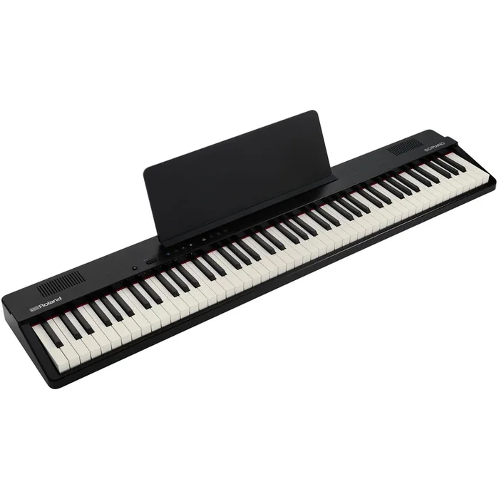 Roland GO-88PX GO:PIANO88 Portable Keyboard