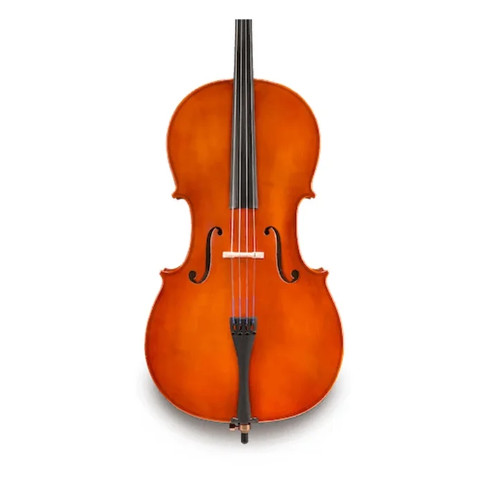 Samuel Eastman VC80 – 1/2 Cello Outfit
