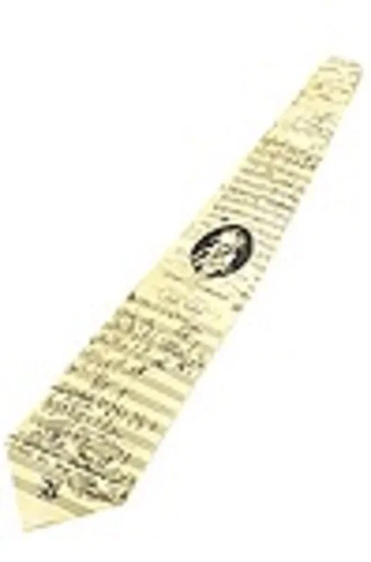 Silk Tie Beethoven Vienne