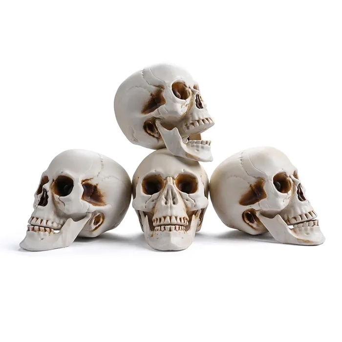 TheLAShop Halloween Life Size Plastic Skulls Decorations 4ct/pk