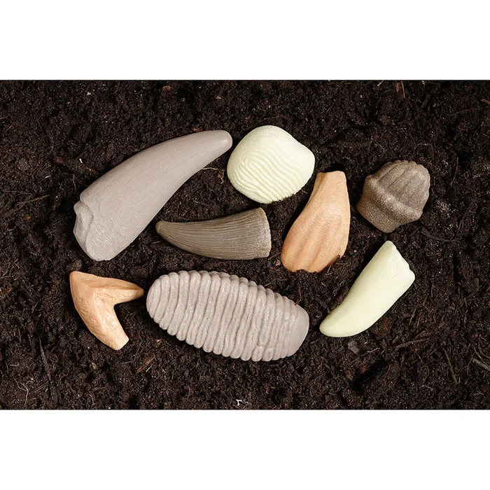 Yellow Door® Let’s Investigate Prehistoric Teeth | 8 Durable Fossil Tooth Replicas for Sensory Play, STEM Learning & Paleontology Exploration